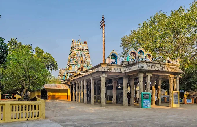 Thiruvavaduthurai Gomuktheeswarar Temple